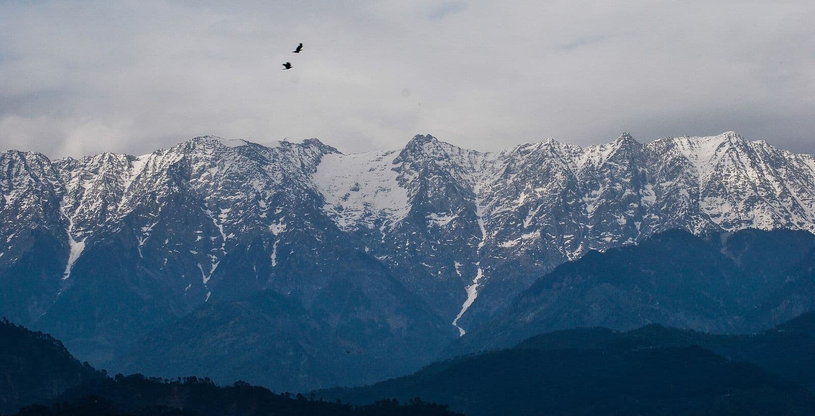 Dhauladhar range above Dharamshala