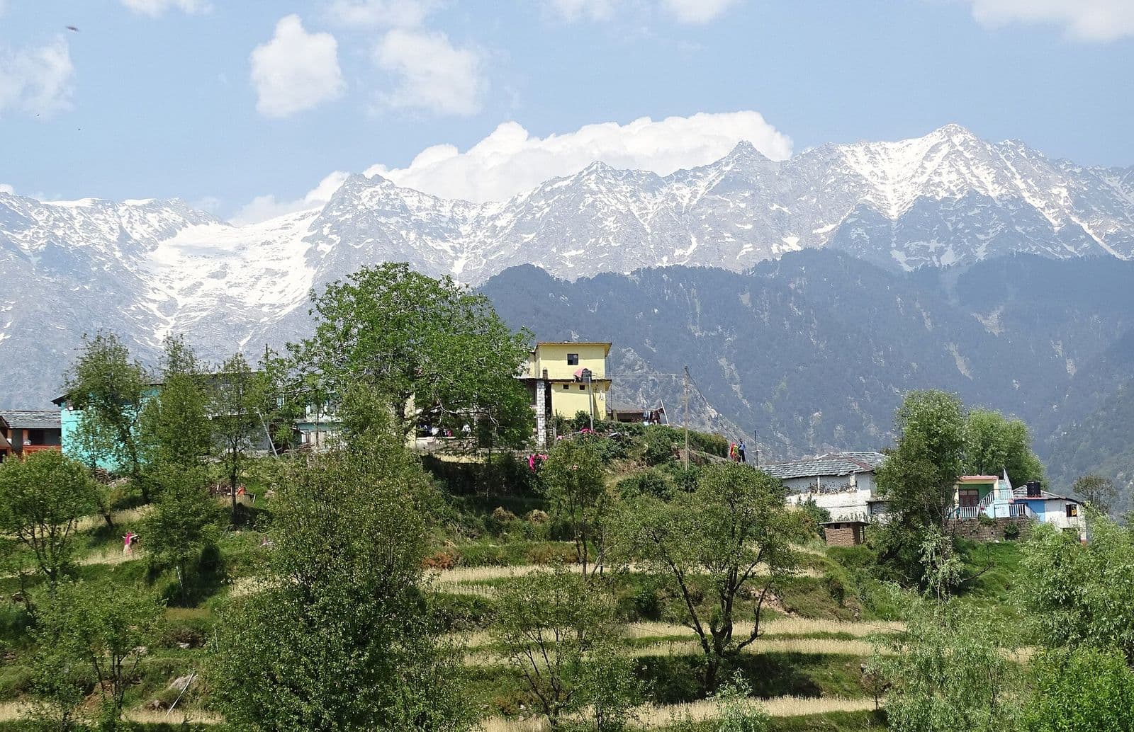 Snow-covered Dhauladhar peaks above Naddi village near McLeod Ganj, Dharamshala