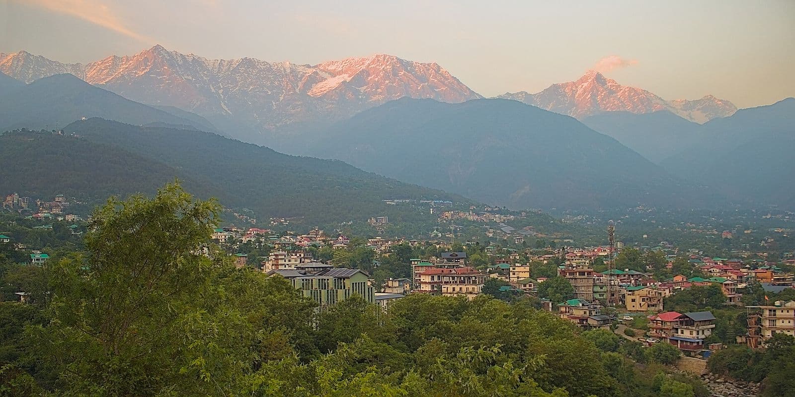 Dharamshala town spread across green hillsides with the Dhauladhar peaks glowing pink at dusk