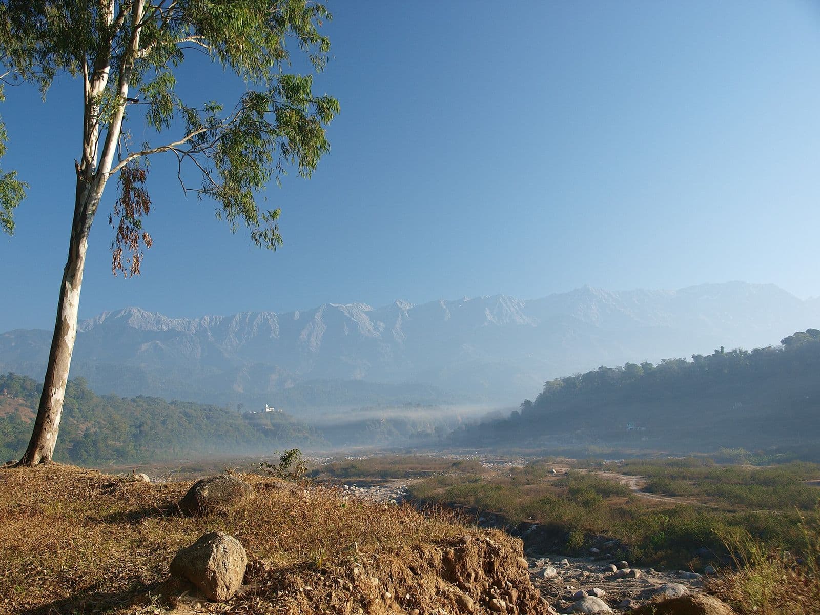 Morning mist over the Chambi Khad valley in Kangra district with the Dhauladhar range beyond