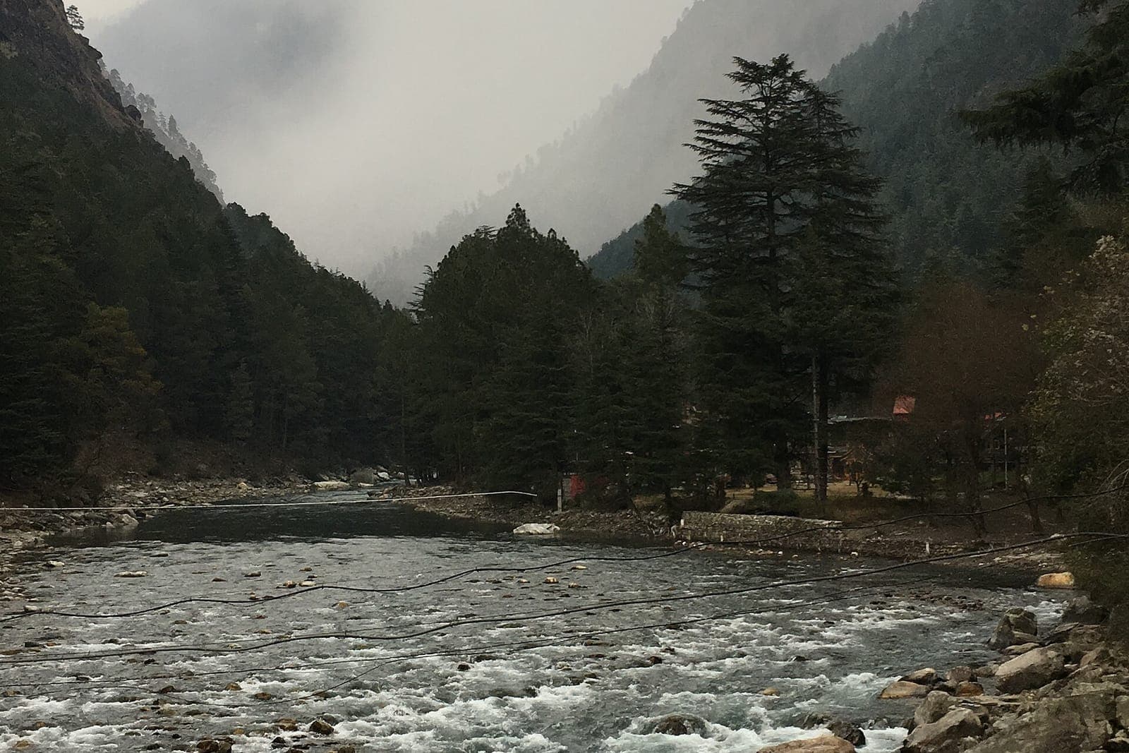 The Parvati river rushing past pine forest at Kasol on a misty winter day, Kullu district
