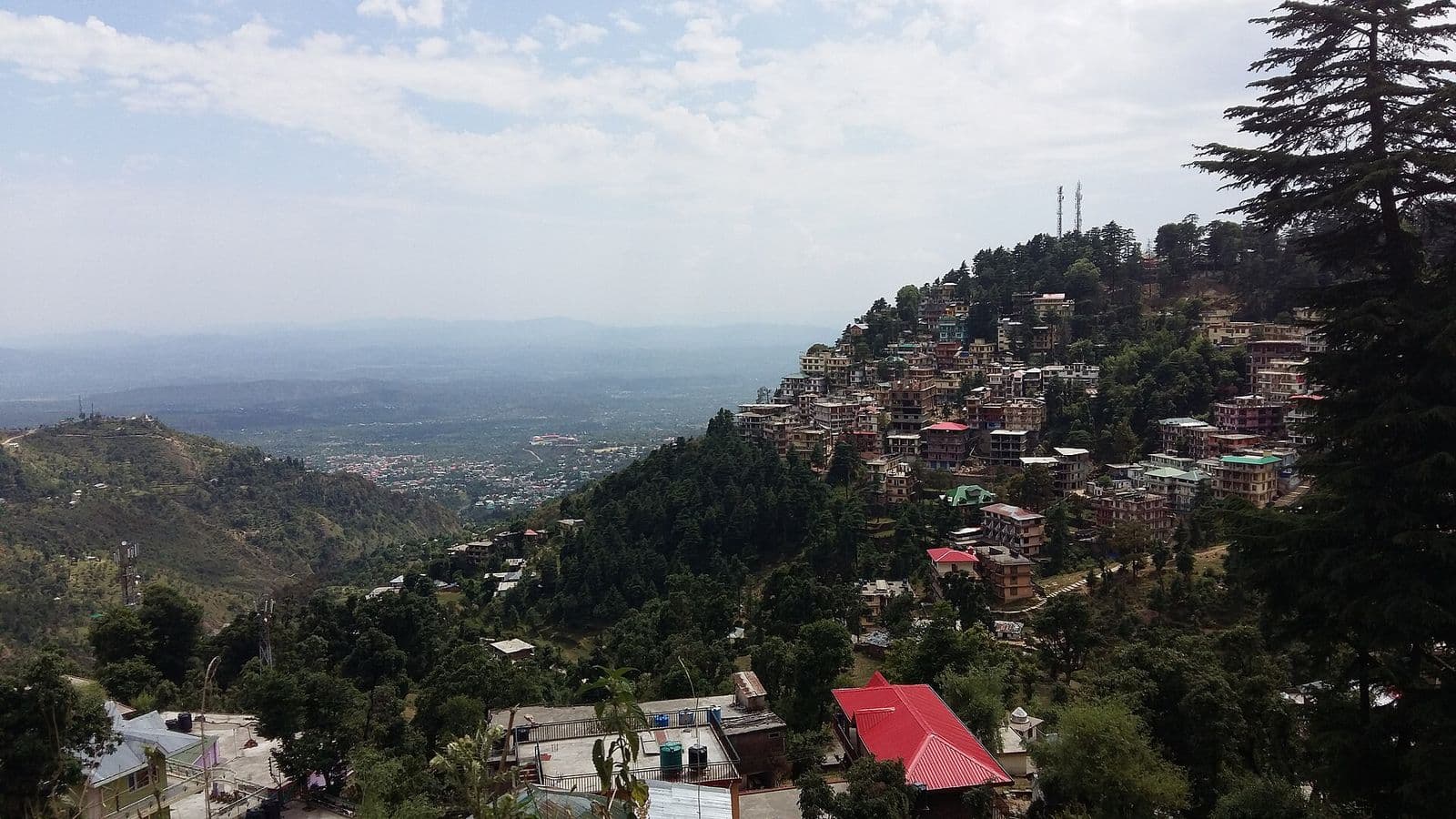 Buildings of McLeod Ganj stacked along a forested hillside above the Kangra Valley