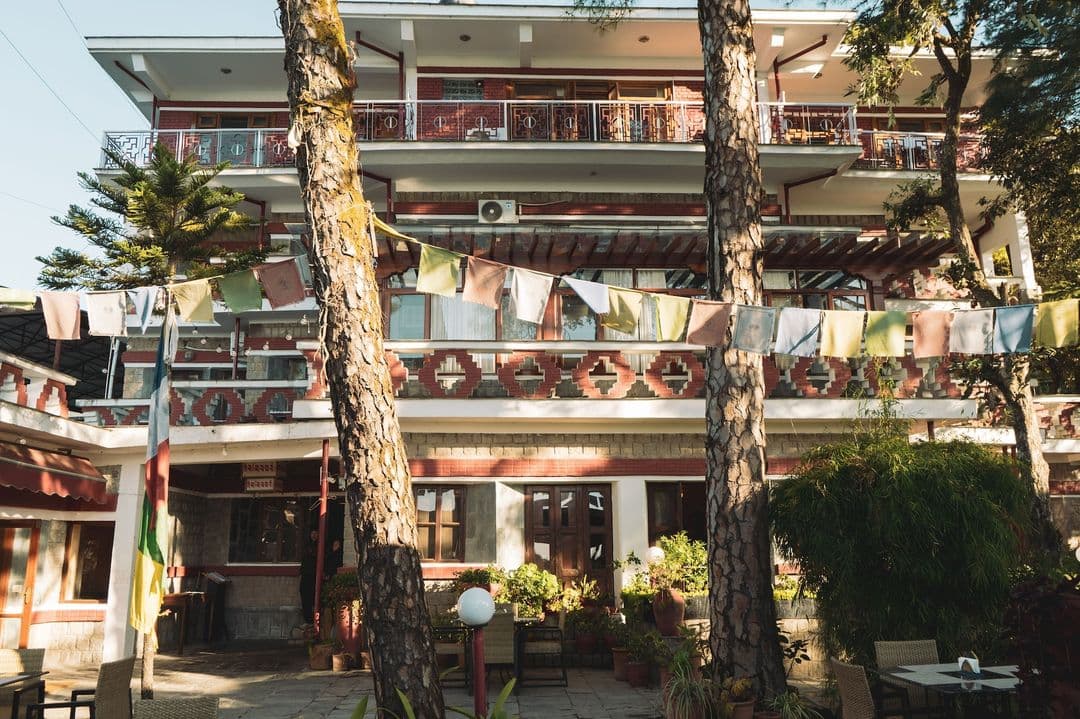 Chonor House building with Tibetan window motifs and prayer flags among cedars, McLeod Ganj