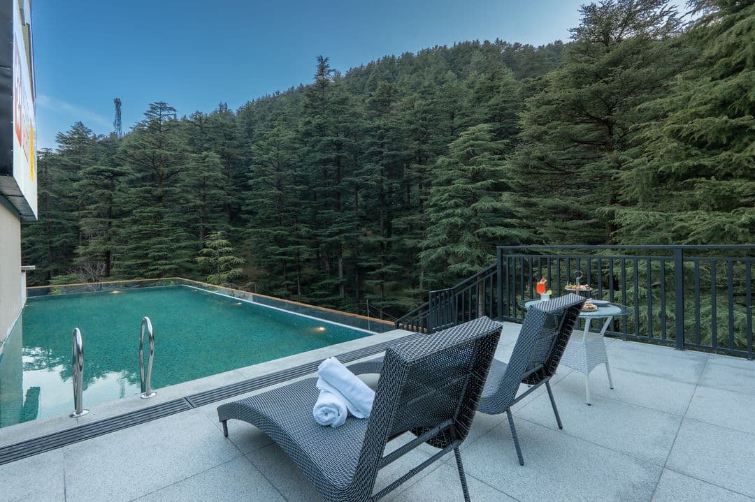 Outdoor swimming pool facing the cedar forest at Mastiff Select Mandavya