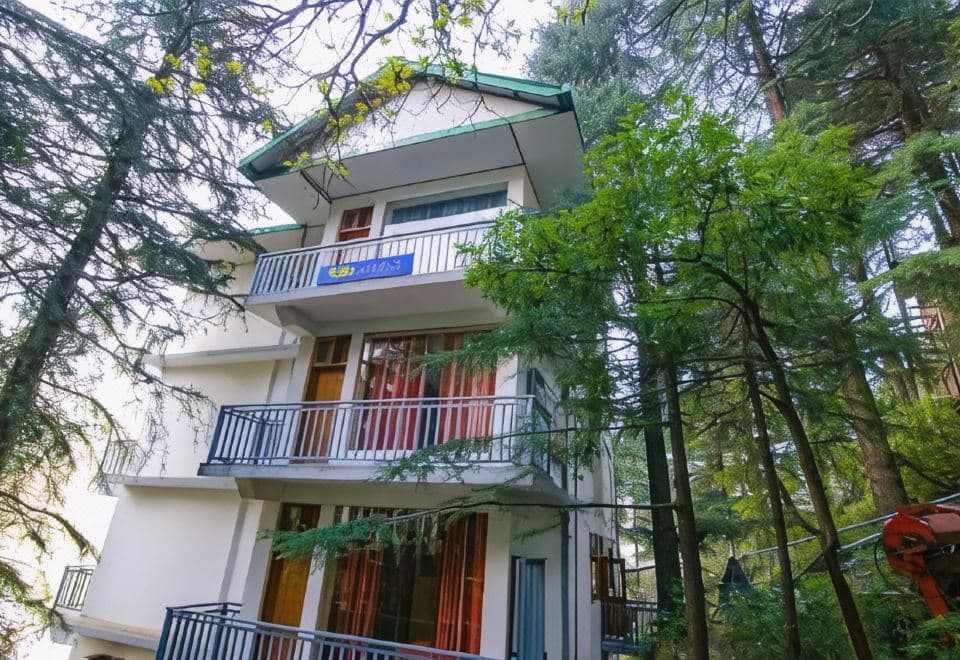 White Water Inn McLeodganj building with balconies among deodar trees