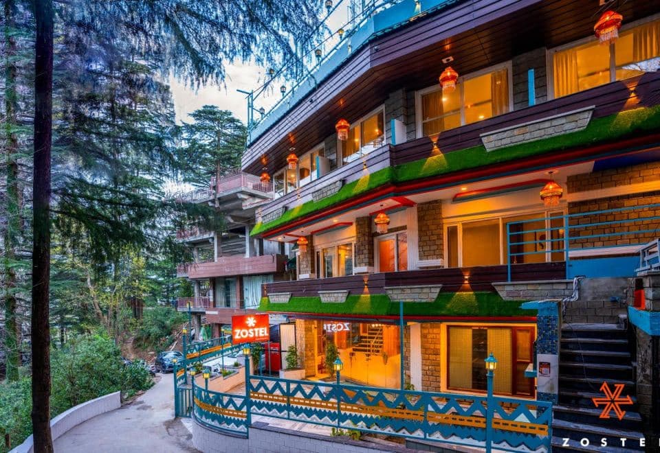 Painted front of Zostel McLeodganj among deodar trees on Jogiwara Road, McLeod Ganj