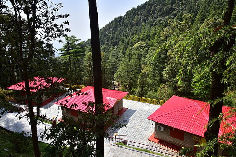 Red-roofed Glenmoor Cottages among forest trees above McLeod Ganj