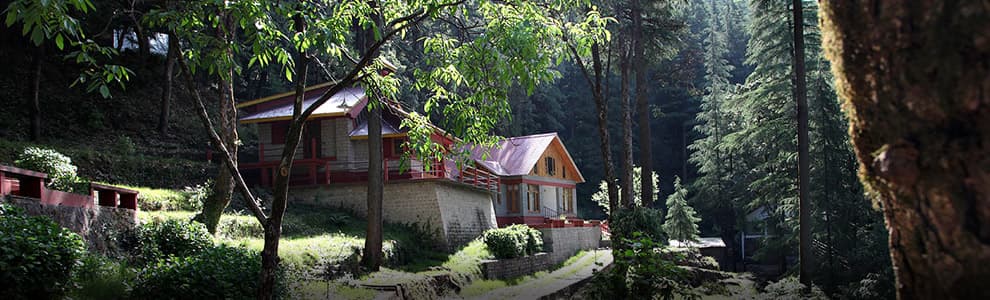 Glenmoor cottages beneath tall trees on the wooded hillside, McLeod Ganj